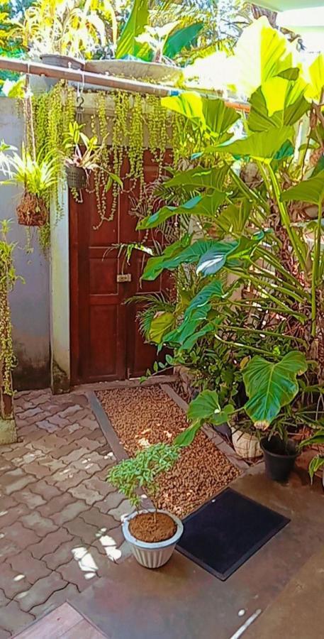 Shady Edge Hotel Unawatuna Exterior foto