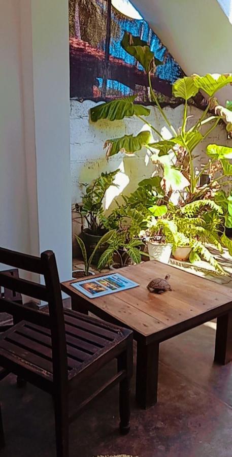 Shady Edge Hotel Unawatuna Exterior foto